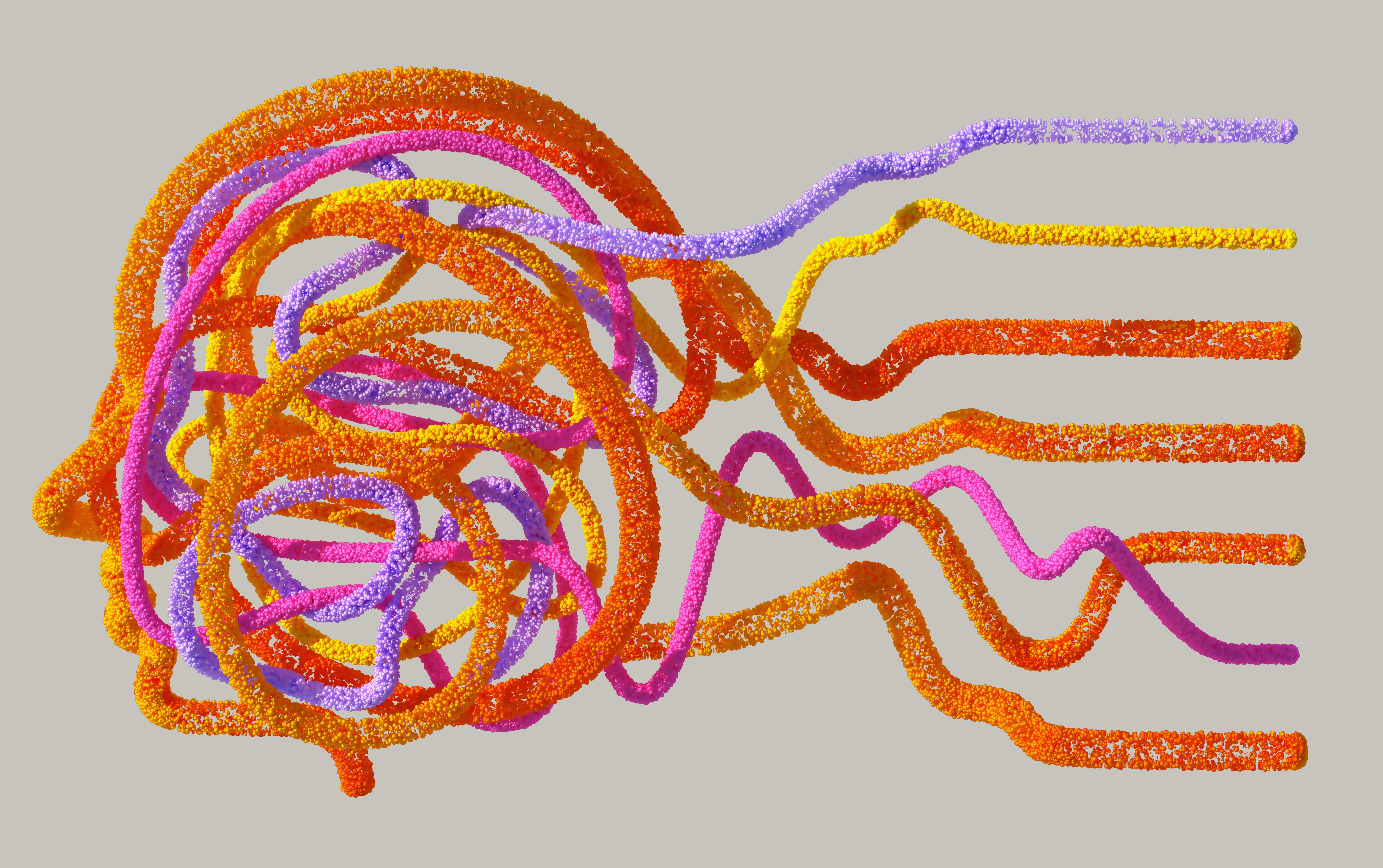 cerveau brun